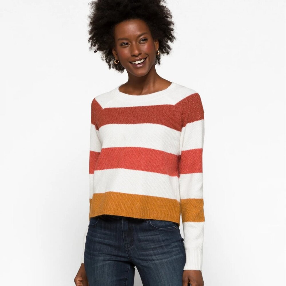 Pinque Florence Raglan Long Sleeve Sweater Multi Color Size Medium